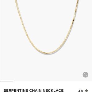 Mejuri Gold Serpentine Chain Necklace
